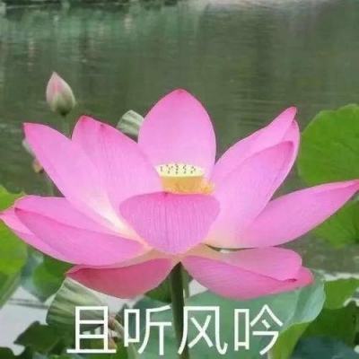 2024广州海珠华侨华人交流合作大会召开